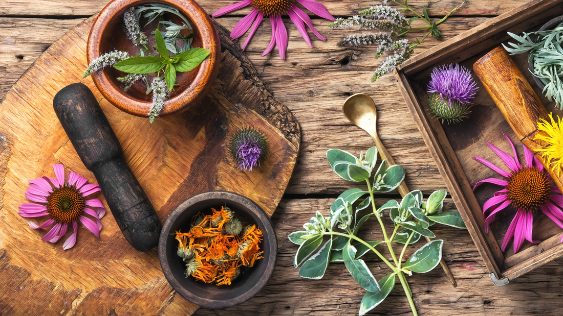 Why Nano CBD is better than other forms of CBD