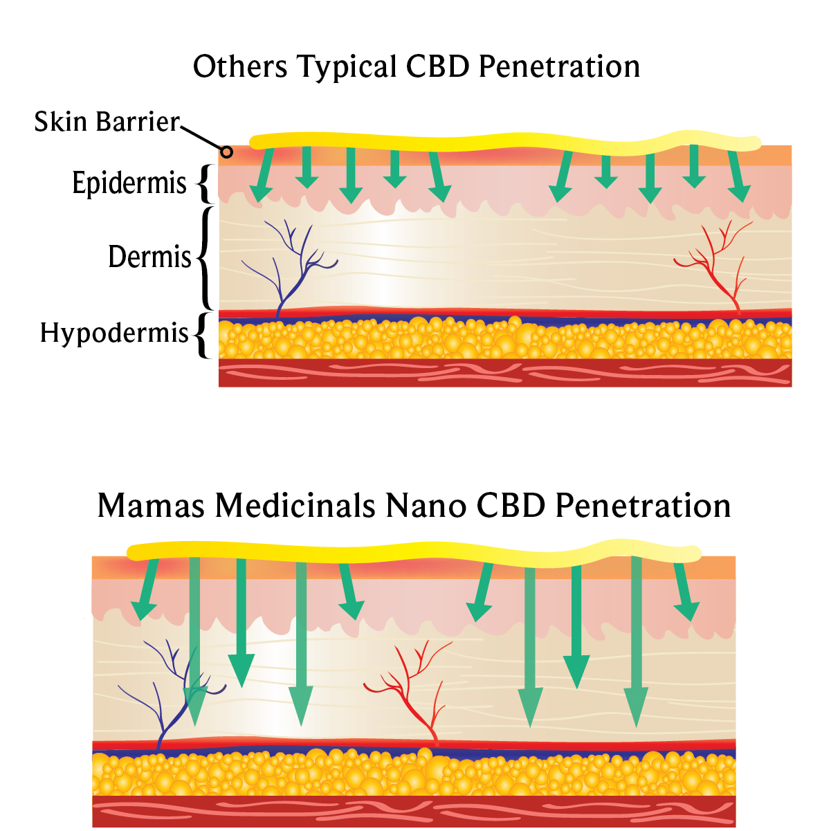 Cbd_vs_Nano_Cbd