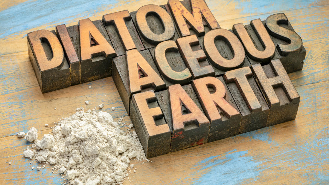 Discover the Benefits of Diatomaceous Earth: A Mother's Guide to Natural Health