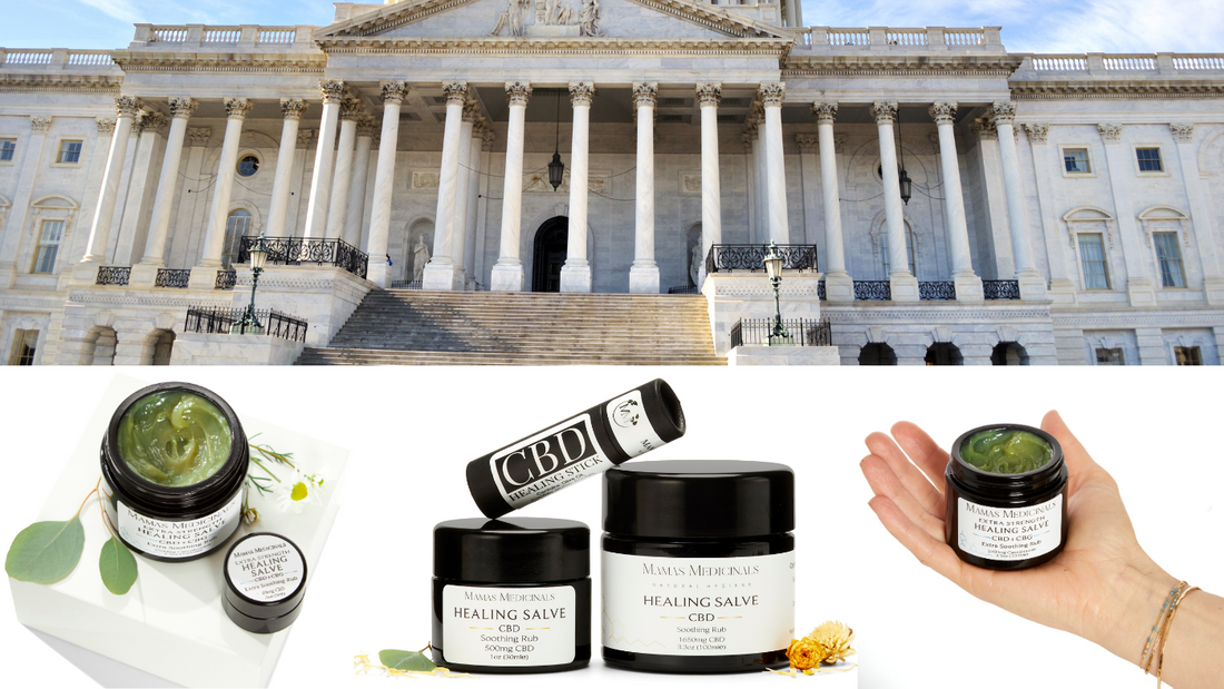 Trump, CBD & Seniors: Our Raw Take on the Buzz