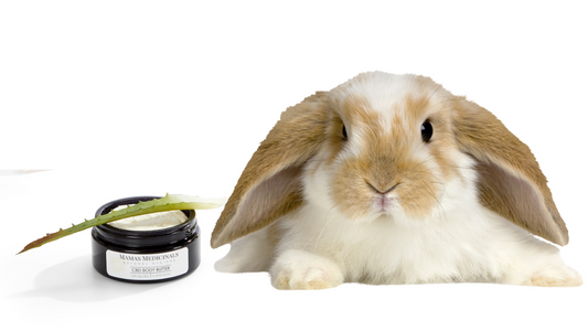 Chester the bunny loves cruelty free skincare