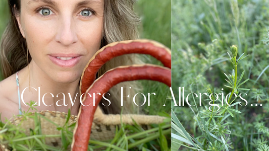 Try Cleaver for allergies! 5 ways to utilize Cleaver...