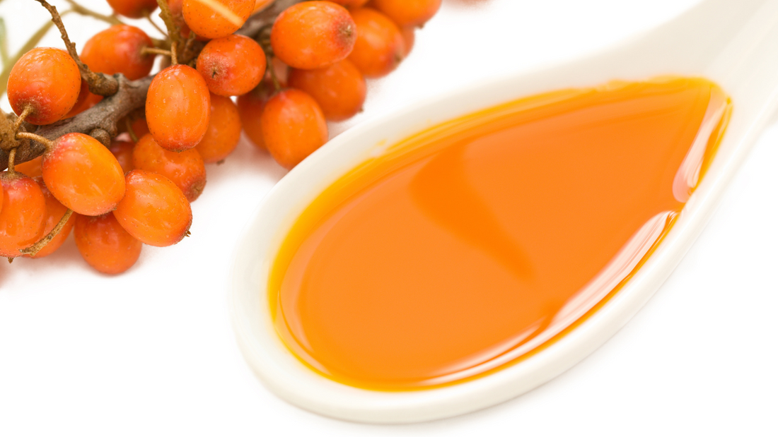 Sea Buckthorn Oil: The Super oil your skin needs everyday