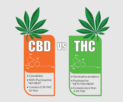 Pictured: CBD vs. THC    Source: CBD Lion